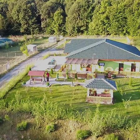 Agropensiunea Valea Fagilor Luncavita Dış mekan fotoğraf