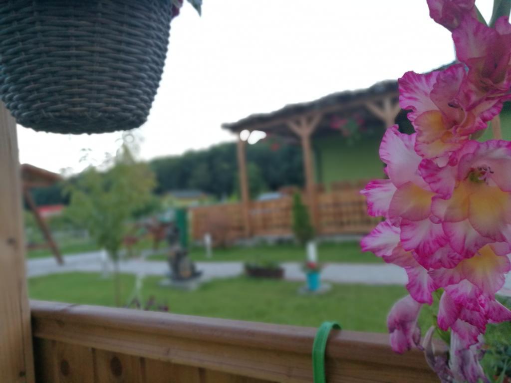 Agropensiunea Valea Fagilor Luncavita Dış mekan fotoğraf