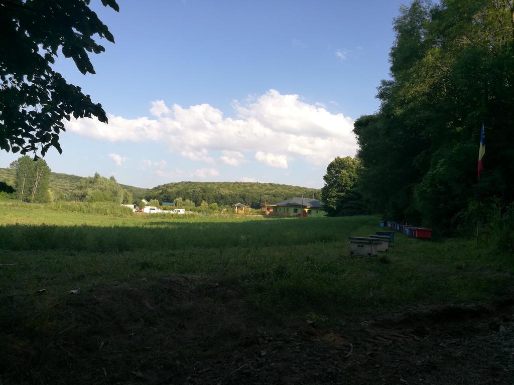 Agropensiunea Valea Fagilor Luncavita Dış mekan fotoğraf