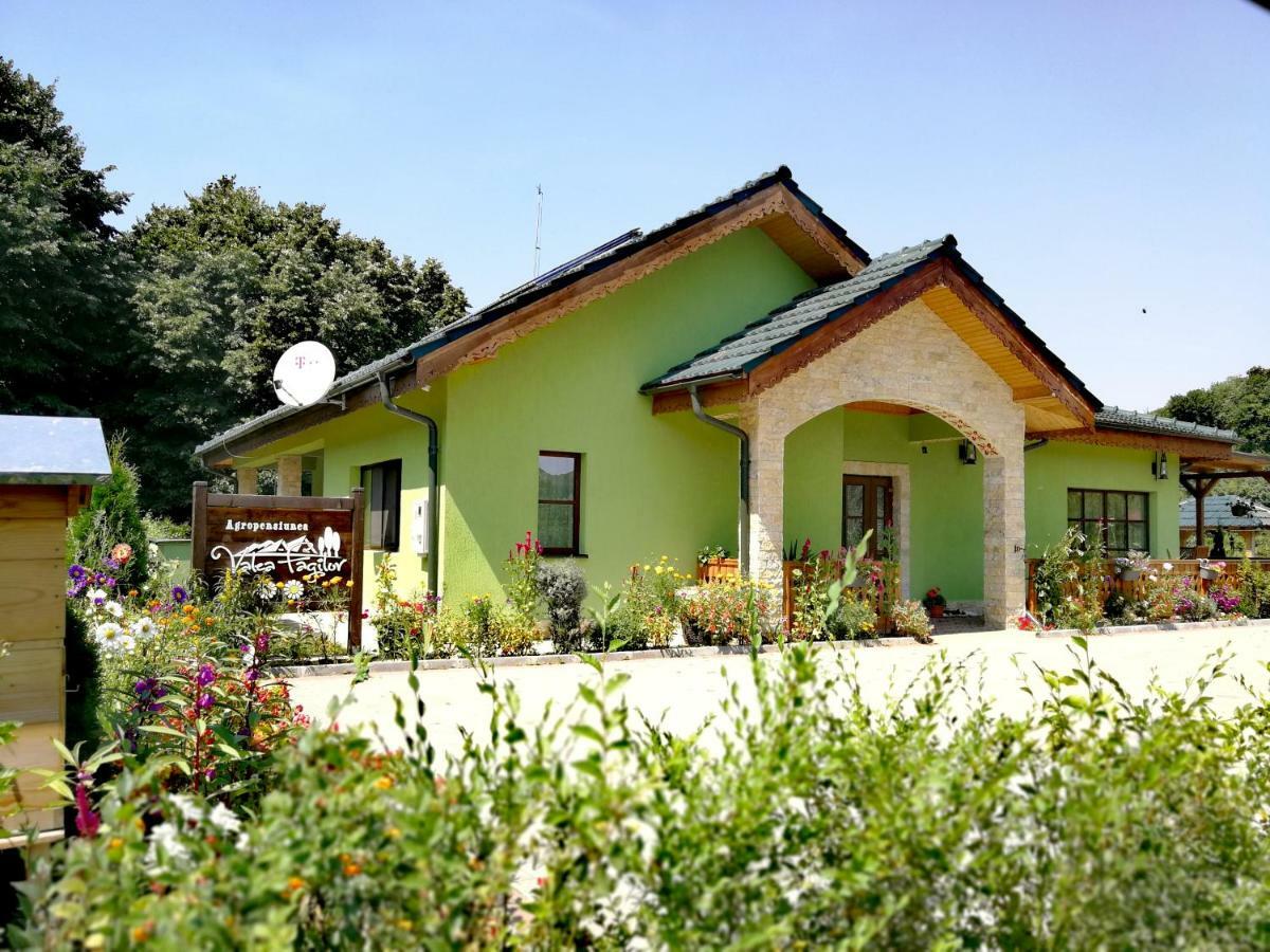 Agropensiunea Valea Fagilor Luncavita Dış mekan fotoğraf