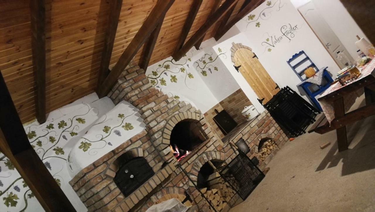 Agropensiunea Valea Fagilor Luncavita Dış mekan fotoğraf