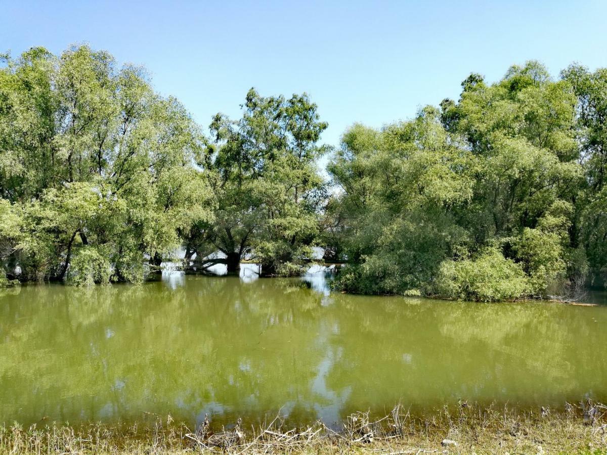 Agropensiunea Valea Fagilor Luncavita Dış mekan fotoğraf