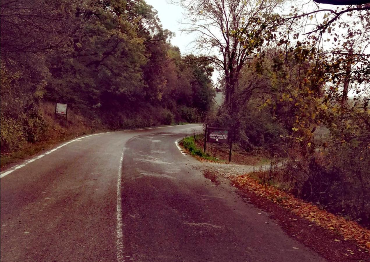 Agropensiunea Valea Fagilor Luncavita Dış mekan fotoğraf