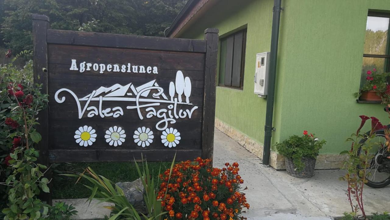 Agropensiunea Valea Fagilor Luncavita Dış mekan fotoğraf